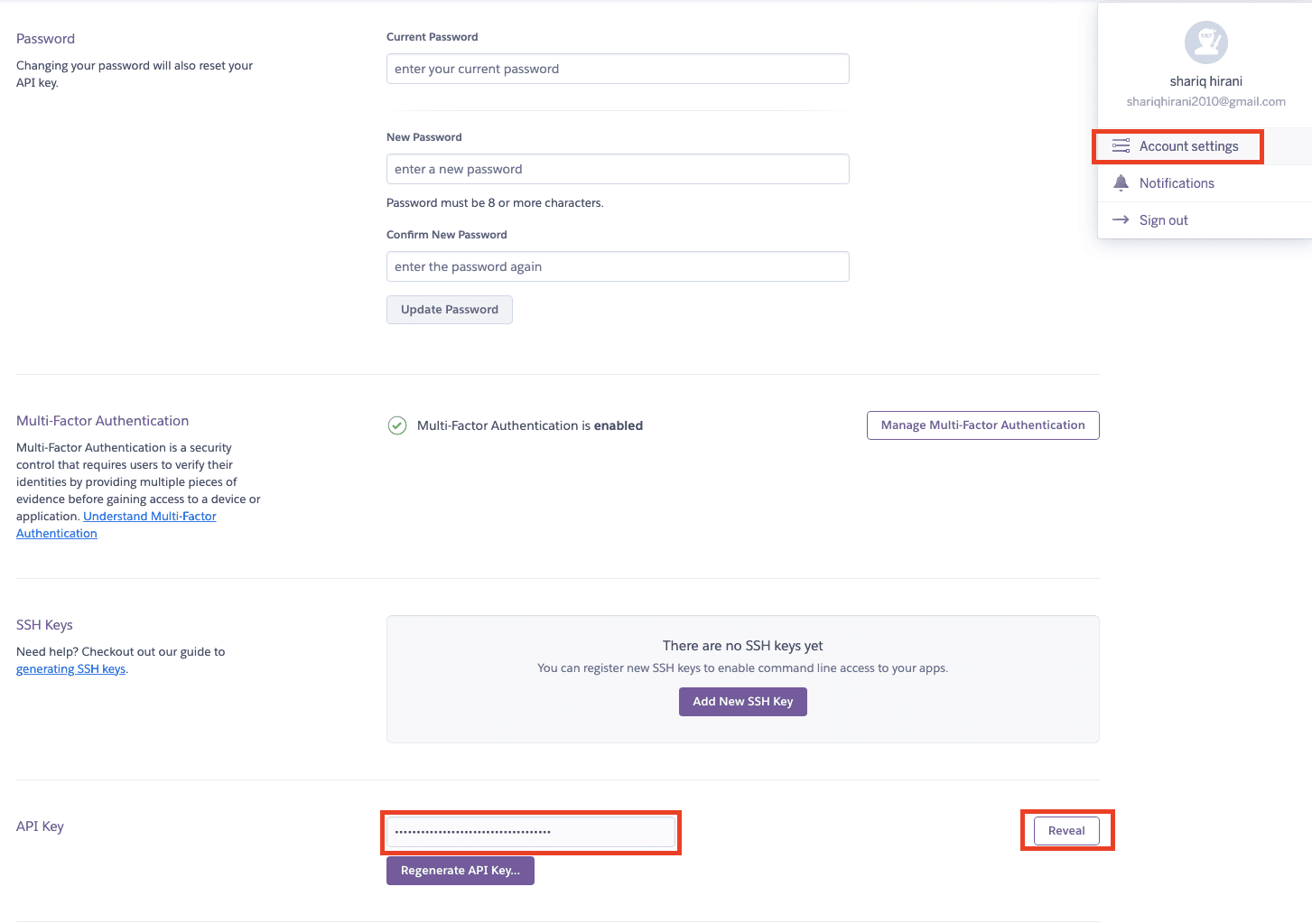 Heroku API key