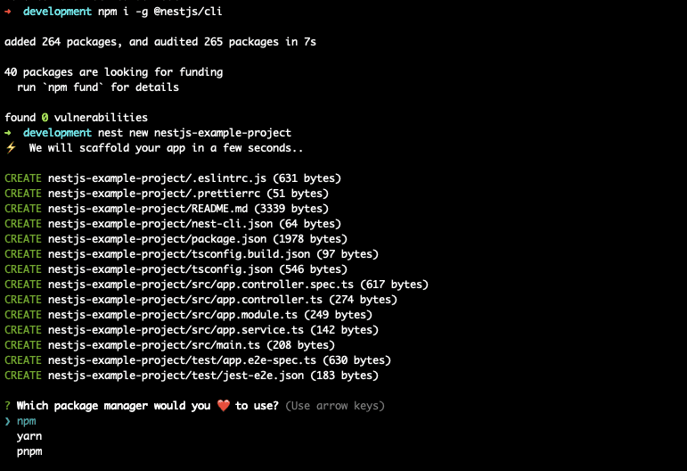 install nest with npm